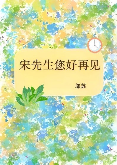 《宋先生您好再见》