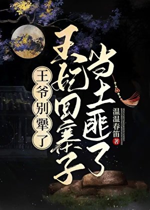 《王爺別犟了,王妃回寨子當土匪了》