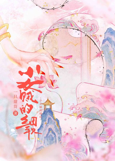 小女贼的细软