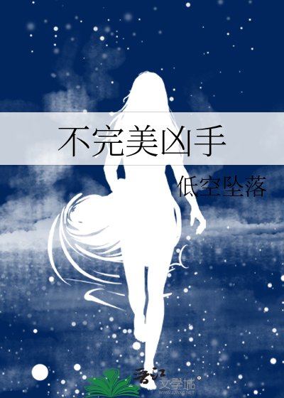 《不完美凶手》