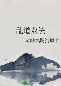 《乱道双法》