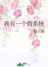 《我有一個假系統》