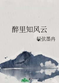 《醉里知风云》
