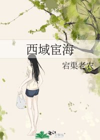 《西域宦海》