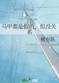 《马甲都是假的,但没关系》