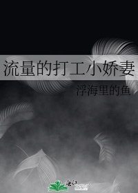 《流量的打工小娇妻》