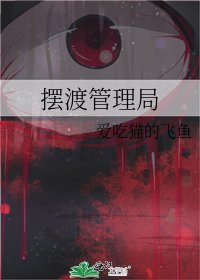 摆渡管理局