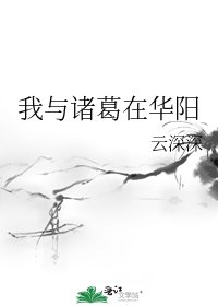 《我與諸葛在華陽》