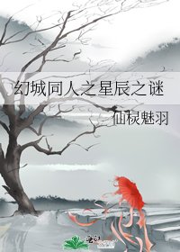 《幻城同人之星辰之谜》