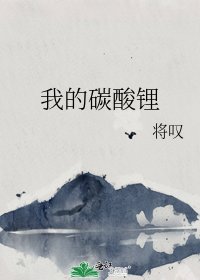 《我的碳酸锂》