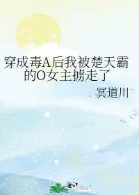 《穿成毒A后我被楚天霸的O女主掳走了》