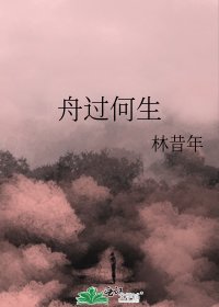 舟过何生