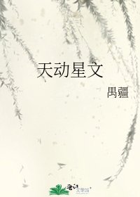 《天动星文》