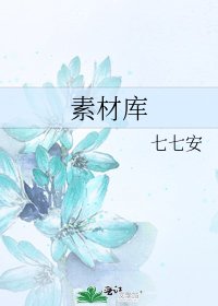 素材库