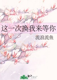 《这一次换我来等你》
