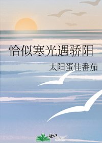 《恰似寒光遇驕陽》