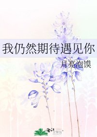《我仍然期待遇见你》