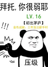 《所谓的压级大佬》