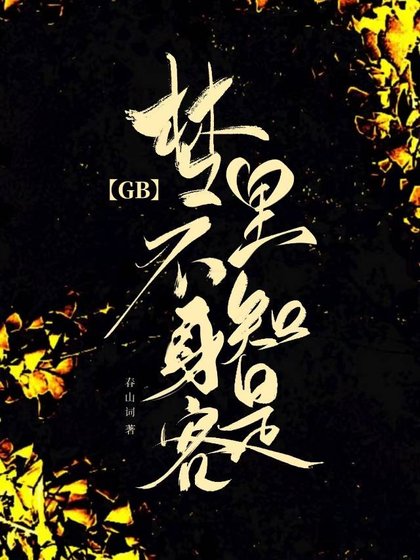 《梦里不知身是客GB》