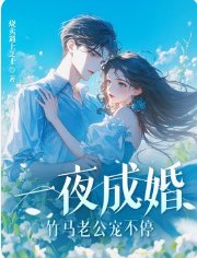 一夜成婚,竹马老公宠不鸿!