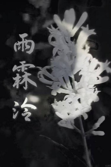 雨霖泠