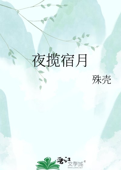 夜揽宿月