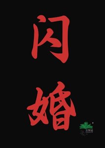 《闪婚》