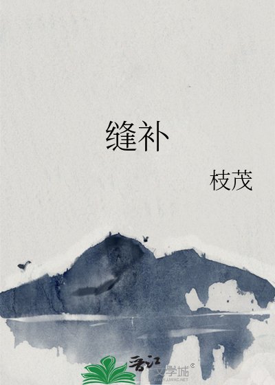 缝补