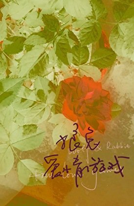狼兔唉情游戏