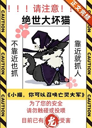 猫,你可以召唤亡灵大军