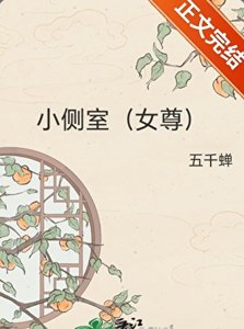 《小側室(女尊)》