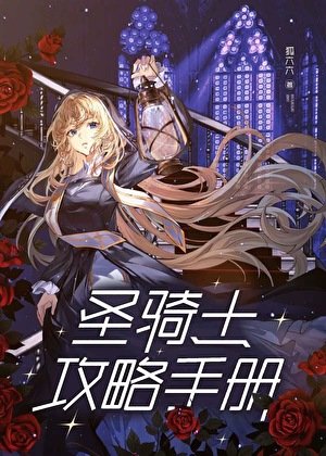 聖騎士功略手冊