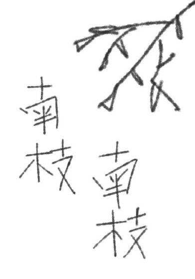 《南枝,南枝》