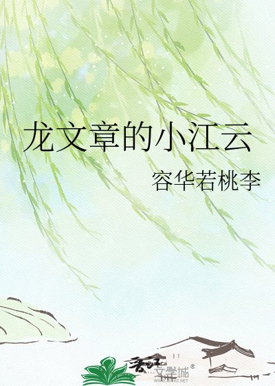 《龙文章的小江云》