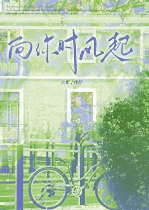 《向你时风起》