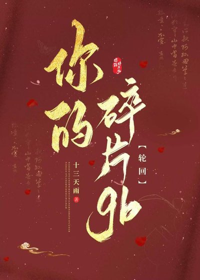 《你的碎片gb》