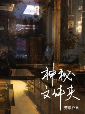 神秘文件贾