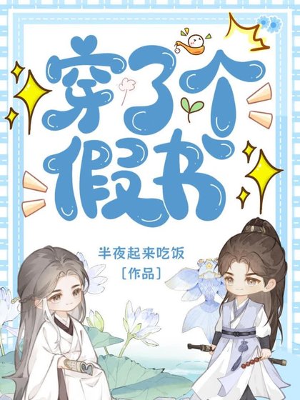 《穿了个假书》
