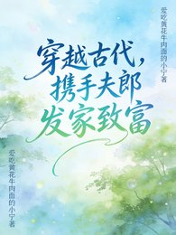 《穿越古代,攜手夫郎發家致富》