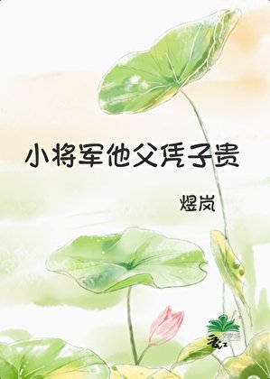 《小將軍他父憑子貴》