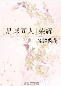《(BL/足球同人)榮耀》