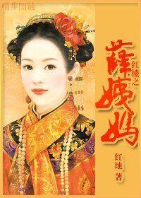 （红楼同人/BG）红楼之薛姨妈