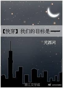快穿我們的目標是——