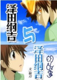 （家教同人）泽田纲吉与泽田纲吉的故事