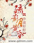 《疏影月黃昏》