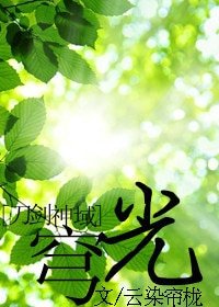 《(刀剑神域同人)穹光》