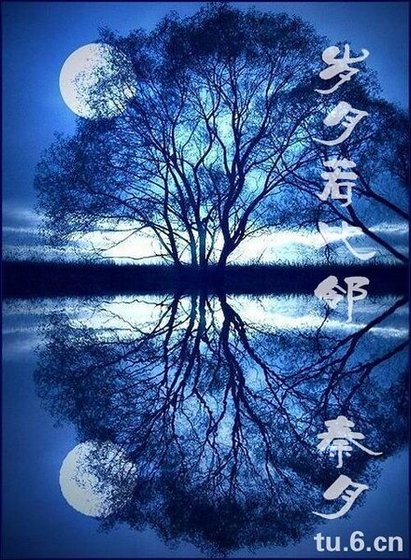 岁月若比邻