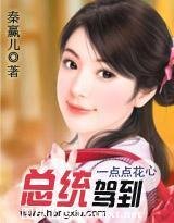 《一点点花心:总统驾到》