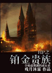 (HP同人/BL)铂金贵族