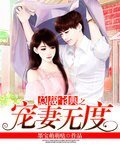 《總裁寶典之寵妻無度》